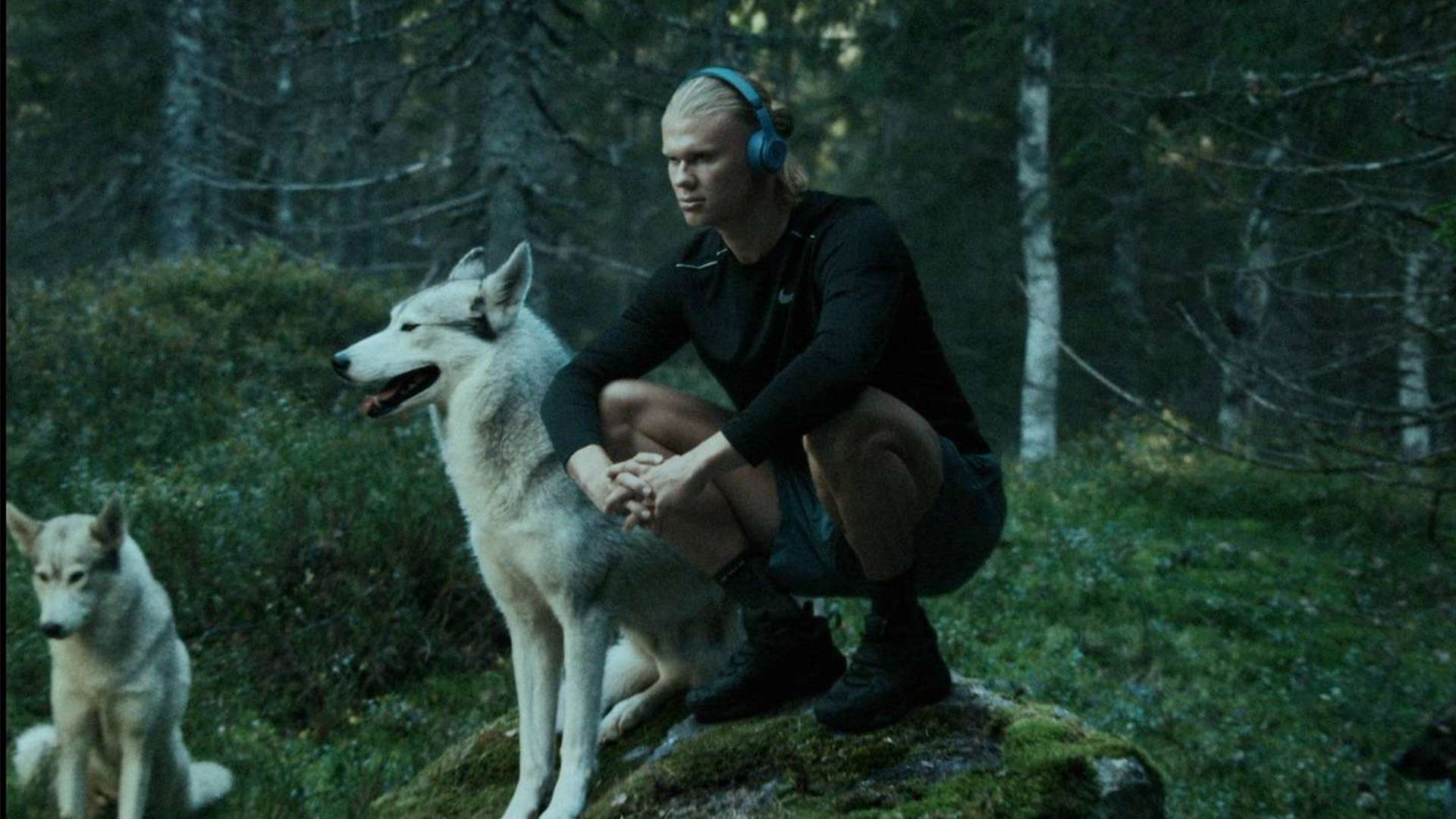 CBA：期待胜利 青岛男篮今晚迎战天津男篮.